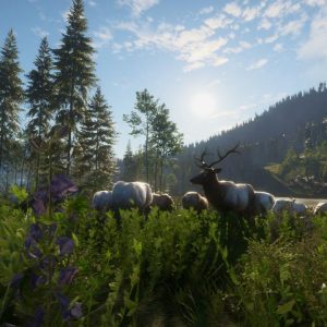theHunter: Call of the Wild - Silver Ridge Peaks DLC EU Steam CD Key
