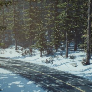 Life is Strange 2 - Episode 2 EU Steam CD Key