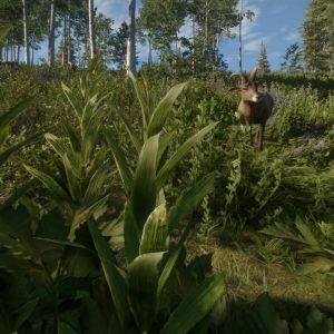 theHunter: Call of the Wild - Silver Ridge Peaks DLC EU PC Steam