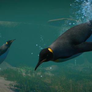 Planet Zoo + Aquatic + Arctic + North America Animal DLCs EU Steam CD Key