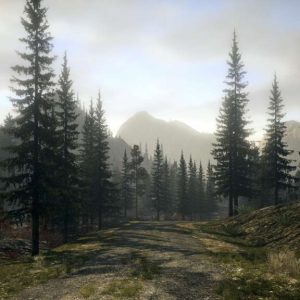 Alan Wake Franchise EU PC Steam CD Key