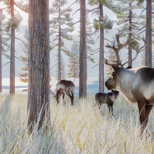 Planet Zoo + Aquatic + Arctic + North America Animal DLCs EU Steam CD Key