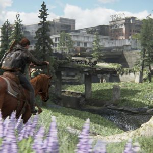 The Last Of Us Part 2 Remastered - Pre-Order Bonus DLC EU PS5 CD Key