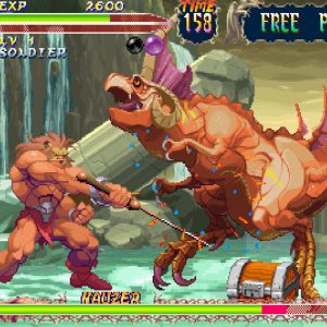 Capcom Fighting Collection EU PC Steam CD Key