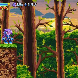 Freedom Planet EU Steam CD Key