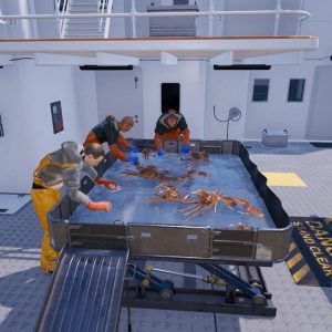 Fishing: North Atlantic EU PS4 CD Key