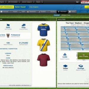 Football Manager 2013 EU Steam CD Key
