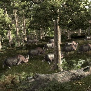 Gothic 3 EU PC Steam CD Key