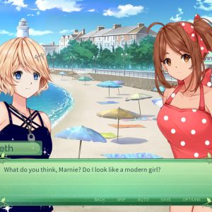 The Fairy's Secret EU PC Steam CD Key