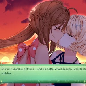 The Fairy's Secret EU PC Steam CD Key