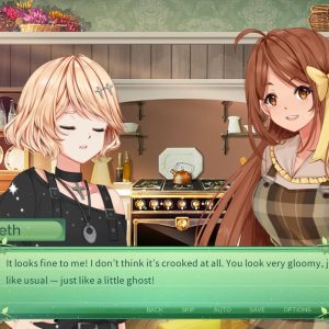 The Fairy's Secret EU PC Steam CD Key
