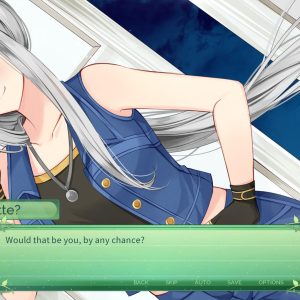 The Fairy's Secret EU PC Steam CD Key
