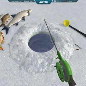 Ice Lakes EU PC Steam CD Key