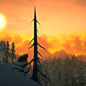 The Long Dark: Survival Edition EN Language Only EU Steam CD Key
