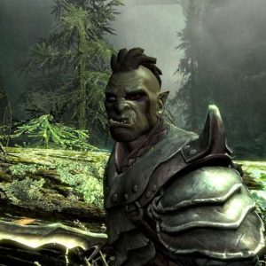 The Elder Scrolls V: Skyrim EU PC Steam CD Key