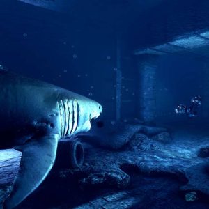 Depth EU Steam