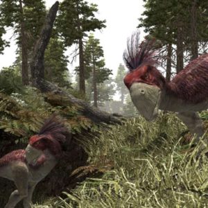Gothic 3 EU PC Steam CD Key