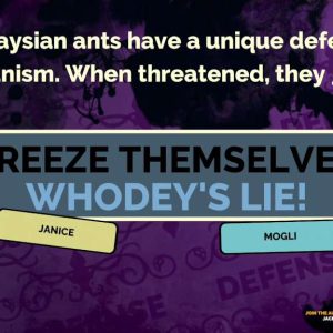 The Jackbox Party Pack 2 EU PC Steam CD Key
