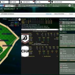 Out of the Park Baseball 15 EU Steam CD Key