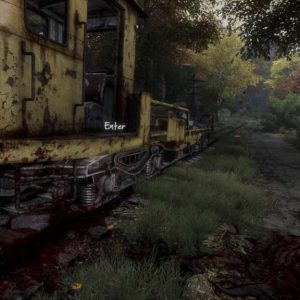 The Vanishing of Ethan Carter EU Steam CD Key