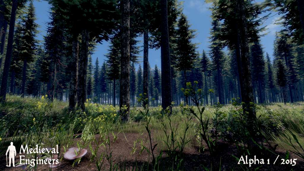 Medieval Engineers EU Steam CD Key