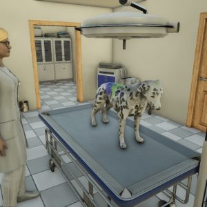 Animal Doctor EU PC Steam CD Key