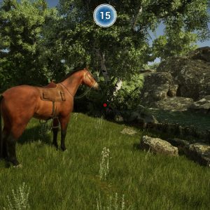 Animal Doctor EU PC Steam CD Key