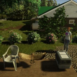Animal Doctor EU PC Steam CD Key