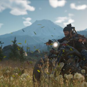Days Gone EU PC Steam CD Key