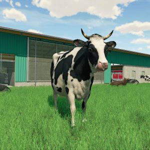 Farming Simulator 22 EU PC Steam CD Key