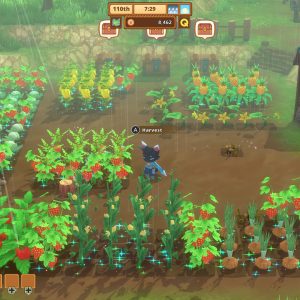 Kitaria Fables EU PS4 CD Key