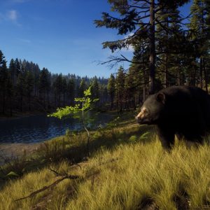 Way of the Hunter EU PC Steam CD Key