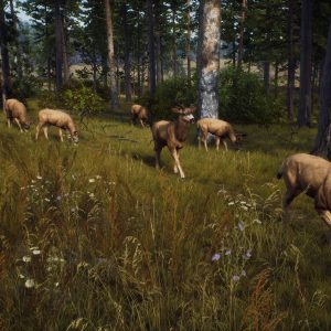 Way of the Hunter EU PC Steam CD Key