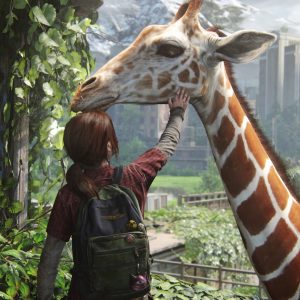 The Last of Us Part 1 EU PC Steam CD Key