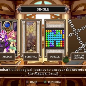 Magical Drop VI EU PS5 CD Key