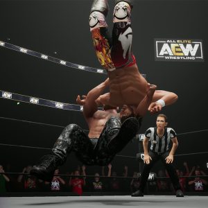 AEW: Fight Forever EU Steam CD Key