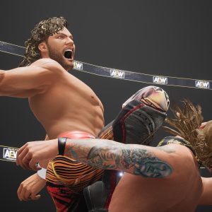 AEW: Fight Forever EU Steam CD Key