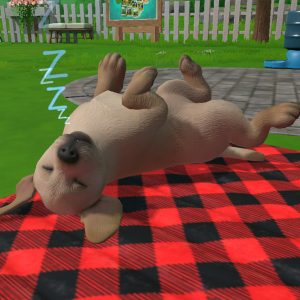 Little Friends: Puppy Island EU PC Steam CD Key