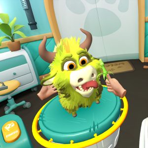 Pets & Stuff EU PS5 CD Key