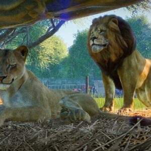 Planet Zoo: Ultimate Edition 2021 EU Steam CD Key