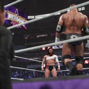 WWE 2K19 EU Steam CD Key