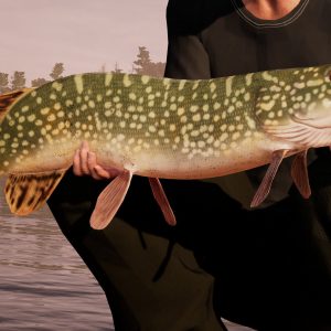 Fishing Sim World: Pro Tour EU PC Steam CD Key