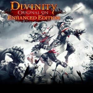 Divinity: Original Sin Enhanced Edition EU Steam