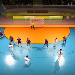 Handball 21 EU Steam CD Key