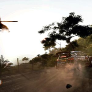 WRC 9 FIA World Rally Championship EU Epic Games CD Key