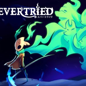 Evertried EU PC Steam CD Key
