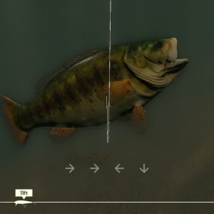 Rapala Fishing Pro Series EU Nintendo Switch CD Key