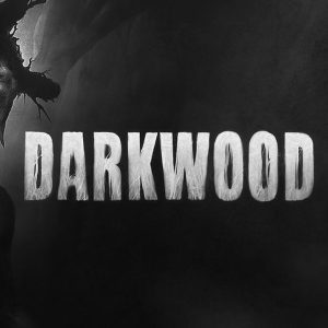 Darkwood EU PC Steam CD Key