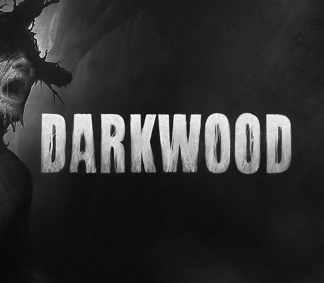 Darkwood EU PC Steam CD Key