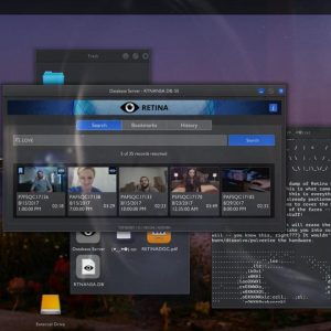 Telling Lies EU Steam CD Key
